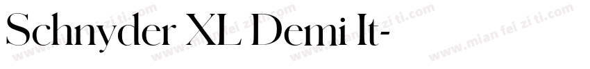 Schnyder XL Demi It字体转换